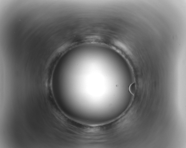 X0000089431403200706221203
