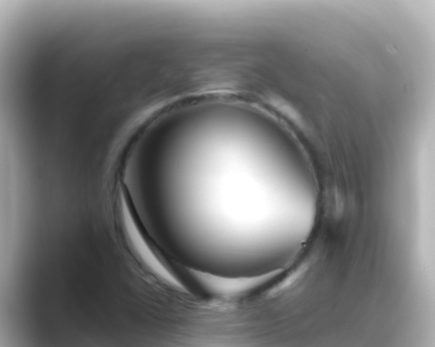 X0000089431406200706221203