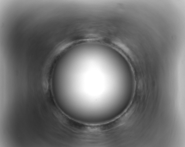X0000089431407200706221203