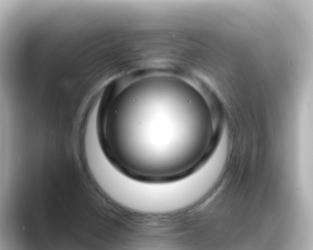 X0000089431410200706221203