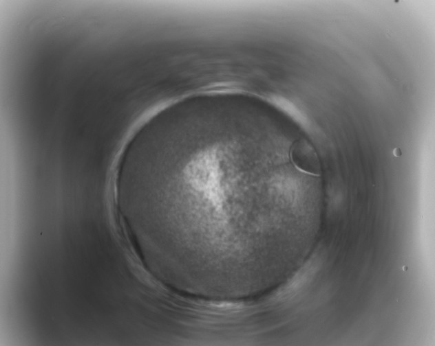 X0000089431413200706221203