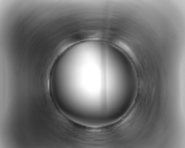 X0000089431419200706221203