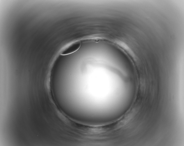 X0000089431421200706221203