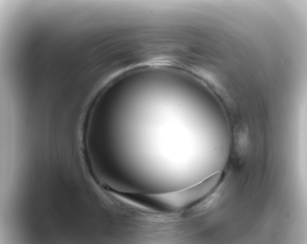 X0000089431422200706221203
