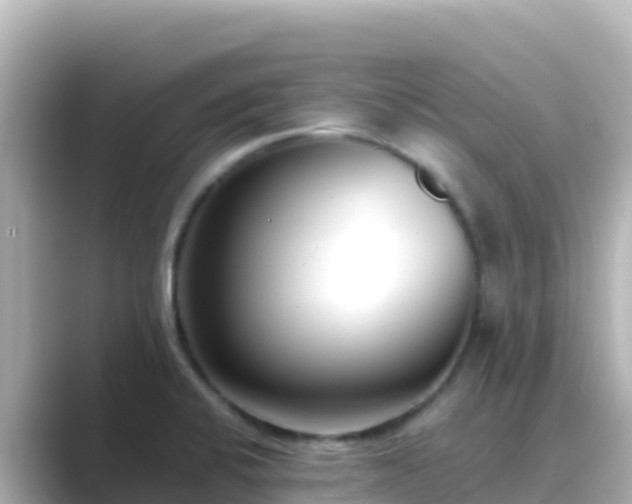 X0000089431424200706221203