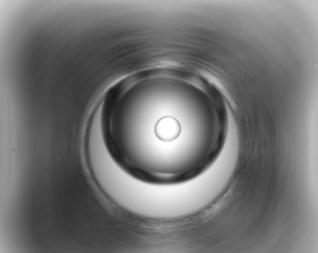X0000089431426200706221203