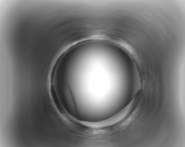 X0000089431430200706221203