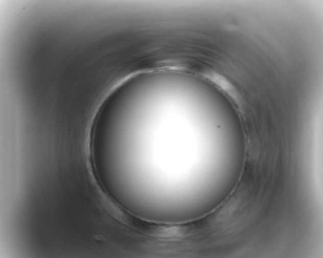 X0000089431431200706221203