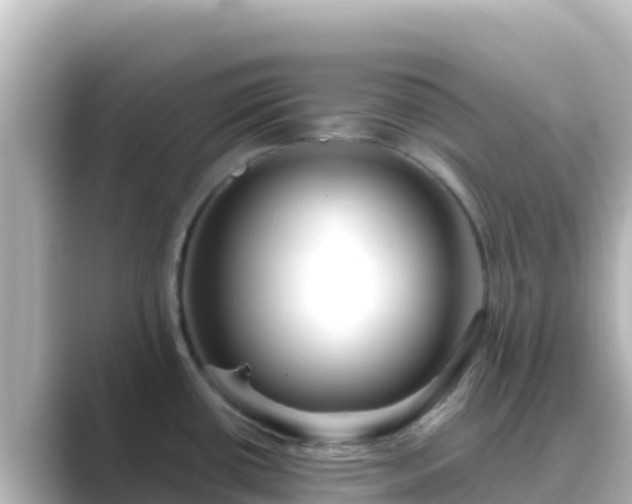 X0000089431434200706221203
