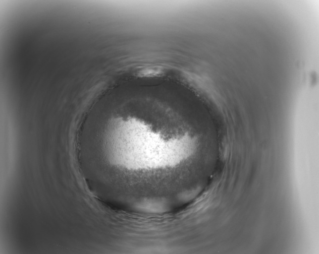 X0000089431441200706221203