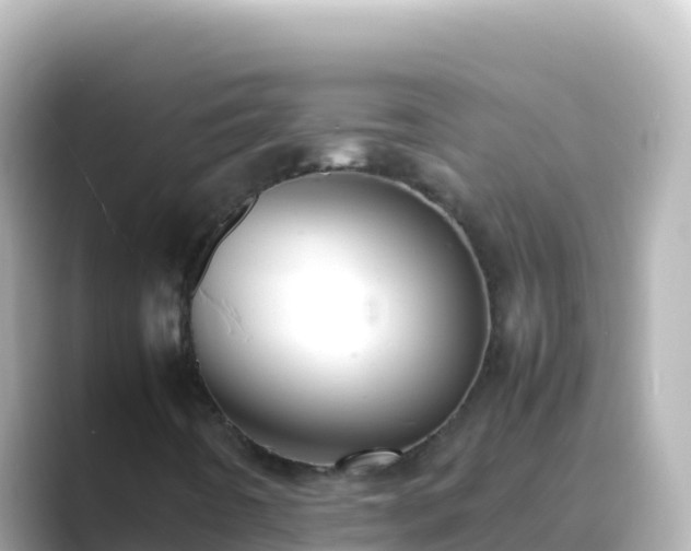 X0000089431442200706221203