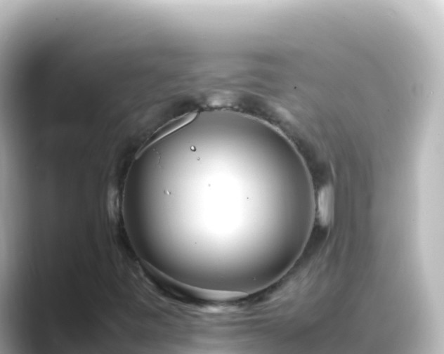X0000089431443200706221203