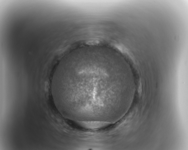 X0000089431445200706221203