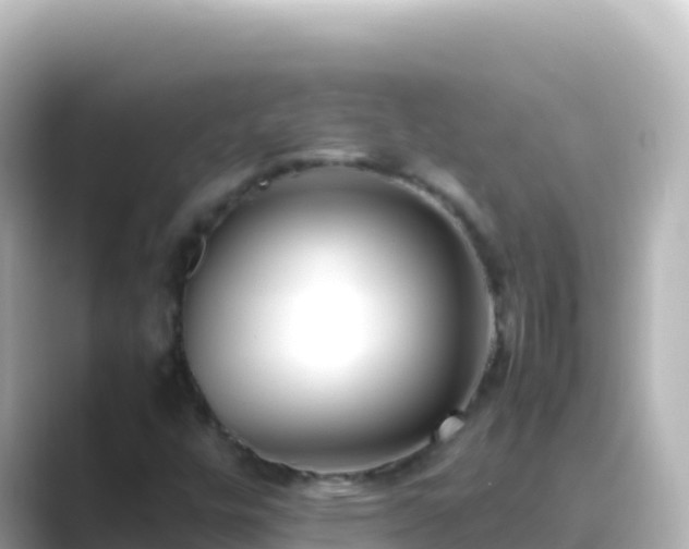X0000089431448200706221203