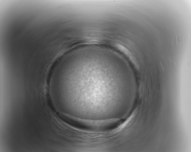 X0000089431449200706221203