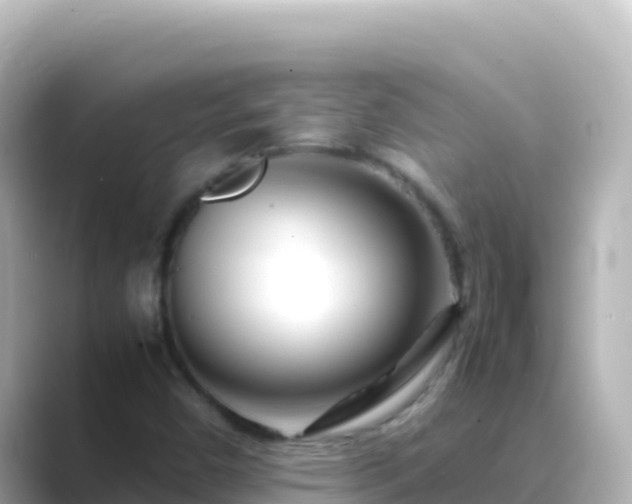 X0000089431450200706221203