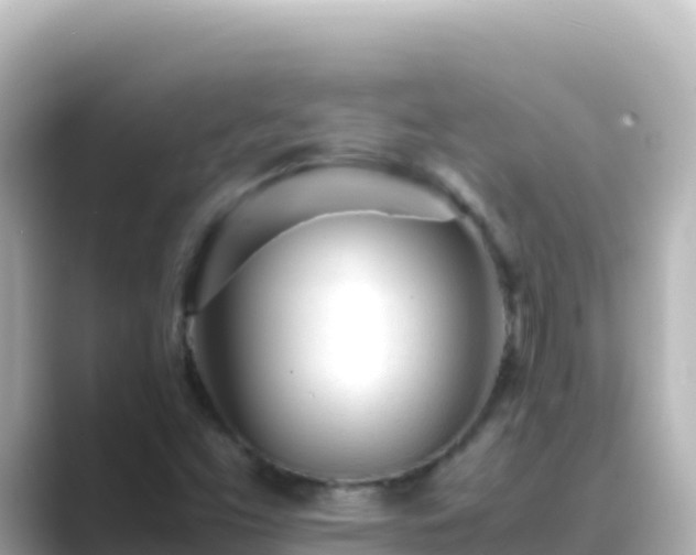 X0000089431453200706221203