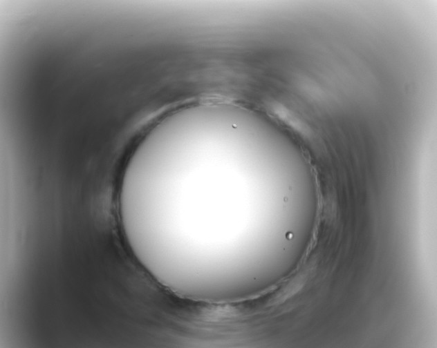 X0000089431454200706221202