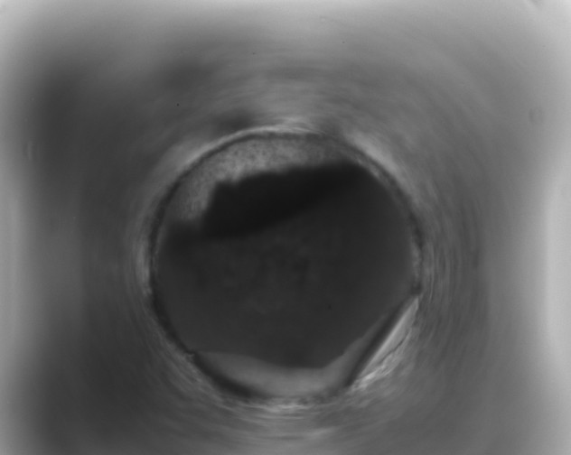 X0000089431455200706221202
