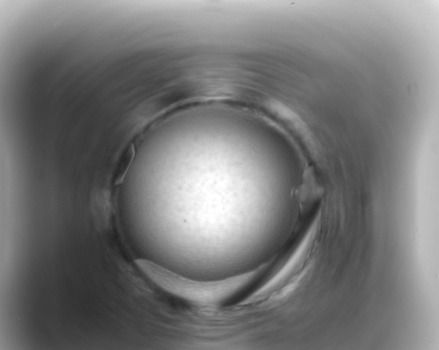 X0000089431457200706221202