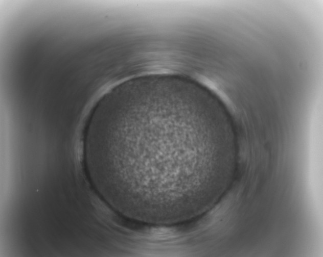 X0000089431459200706221202