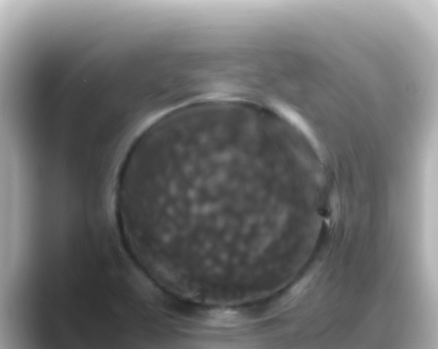 X0000089431463200706221202