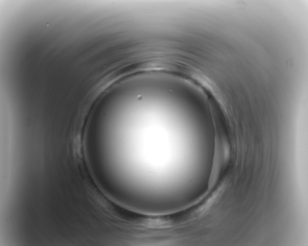 X0000089431465200706221202