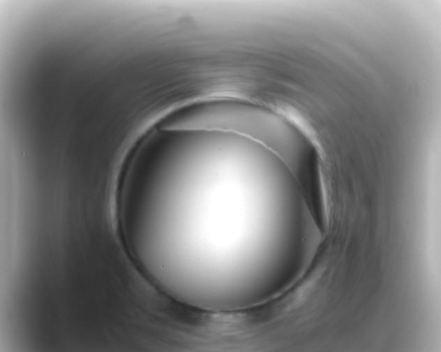 X0000089431469200706221202