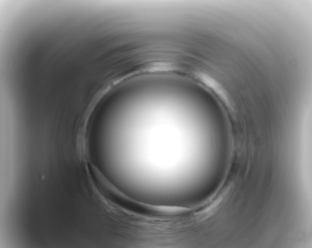 X0000089431473200706221202