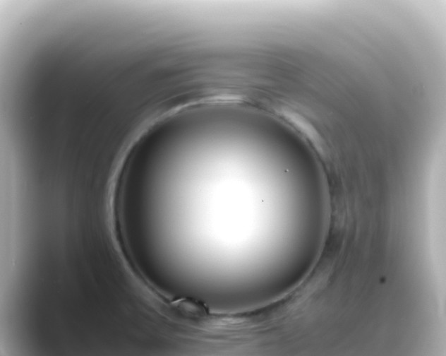 X0000089431475200706221202