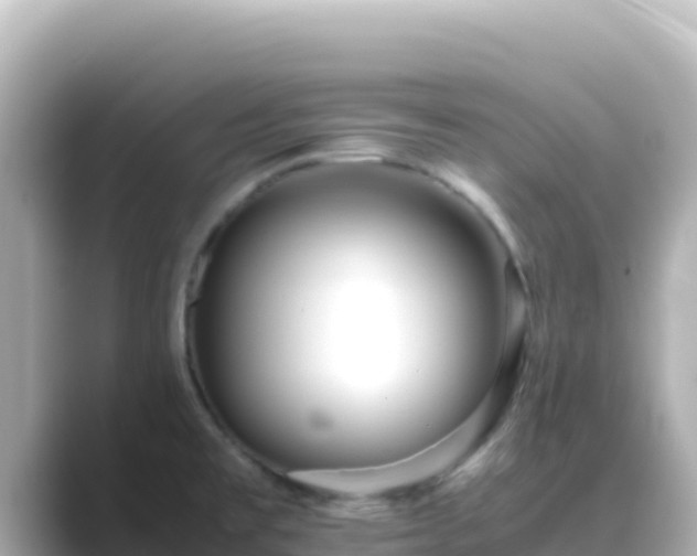 X0000089431477200706221202