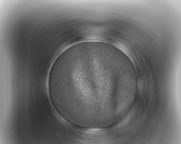 X0000089431482200706221202