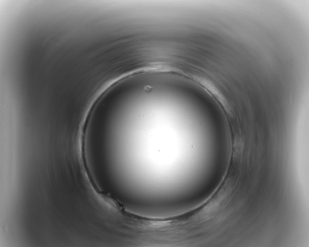 X0000089431484200706221202
