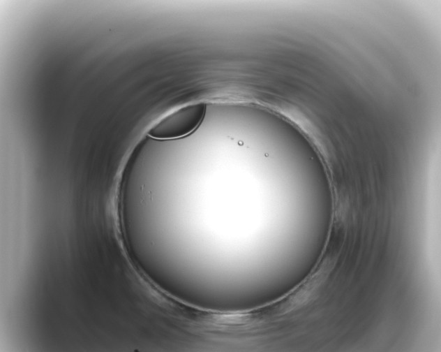 X0000089431486200706221202