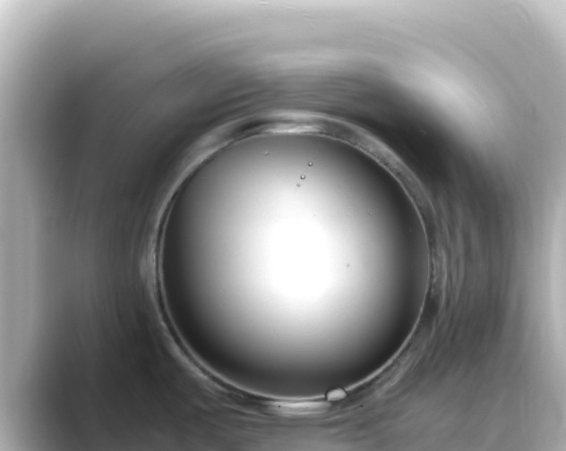 X0000089431487200706221202
