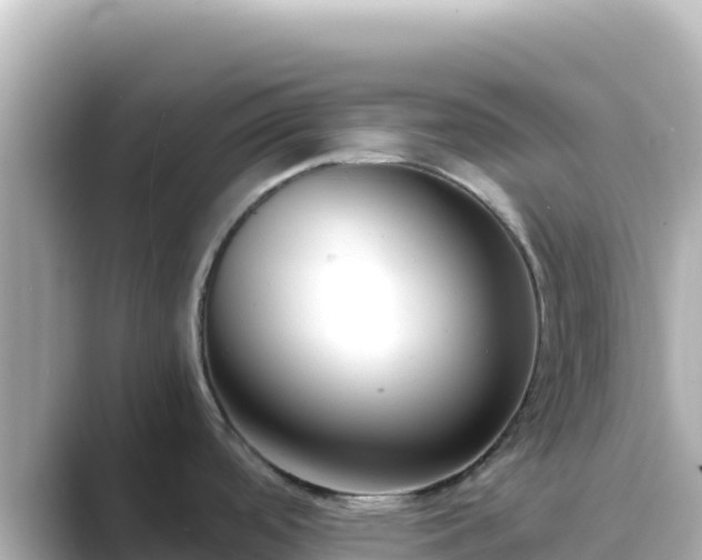 X0000089431488200706221202