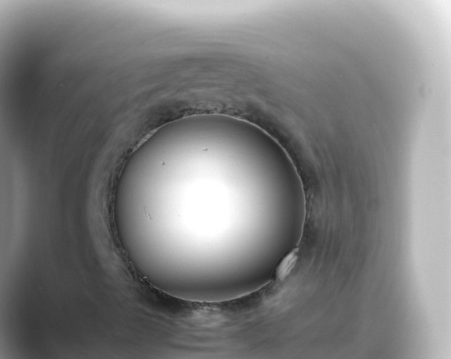 X0000089431489200706221202