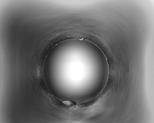 X0000089431490200706221202