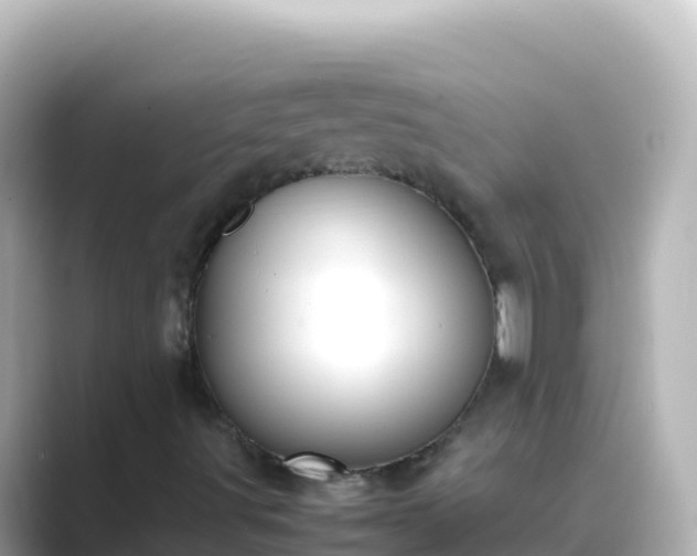 X0000089431491200706221202