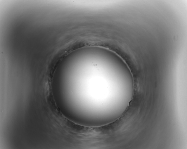 X0000089431493200706221202