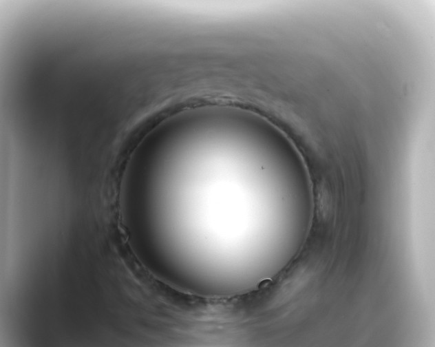 X0000089431494200706221202