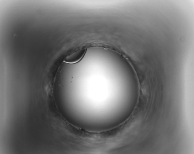 X0000089431495200706221202