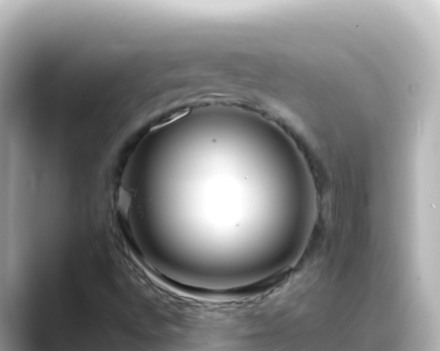 X0000089431496200706221202