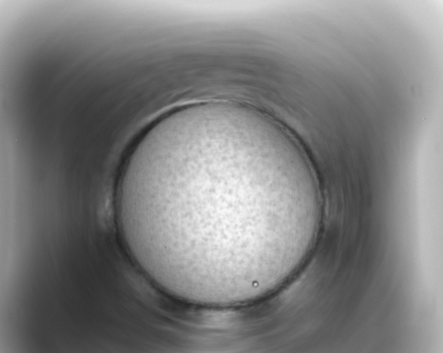 X0000089431498200706221202
