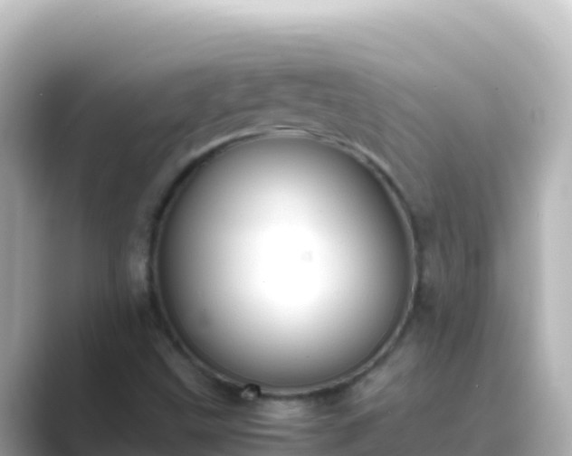 X0000089431499200706221202