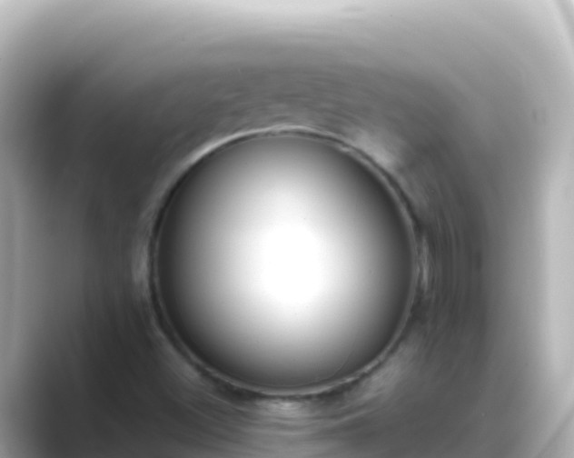 X0000089431500200706221202
