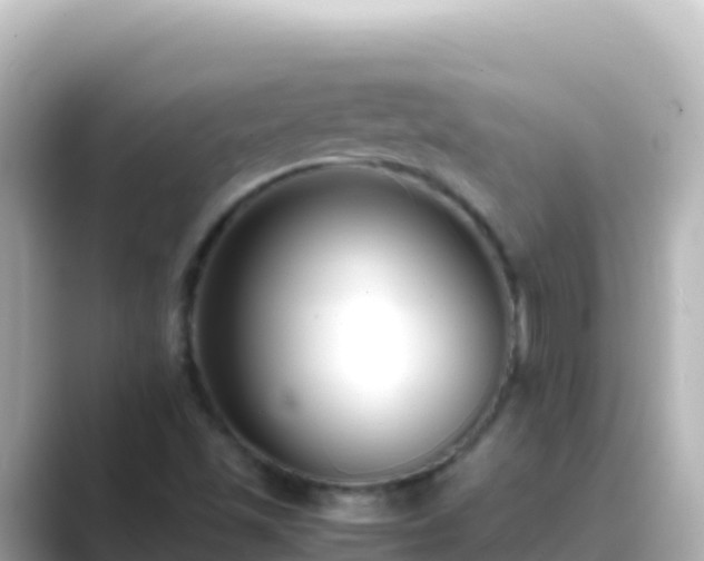 X0000089431501200706221202