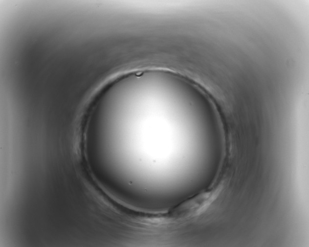 X0000089431502200706221202