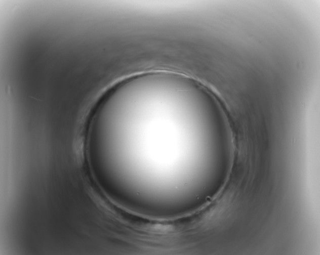 X0000089431503200706221202