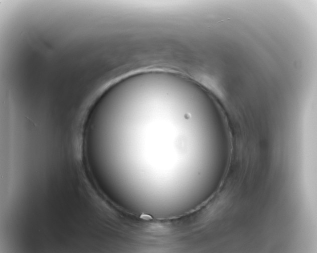 X0000089431504200706221202